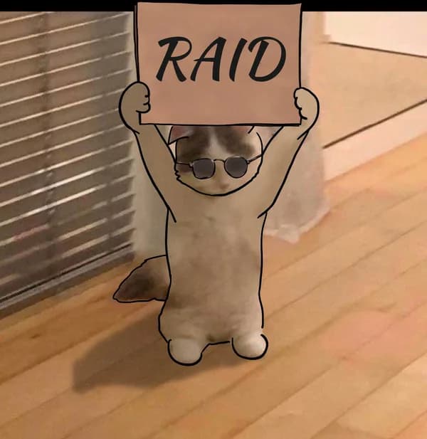 raid