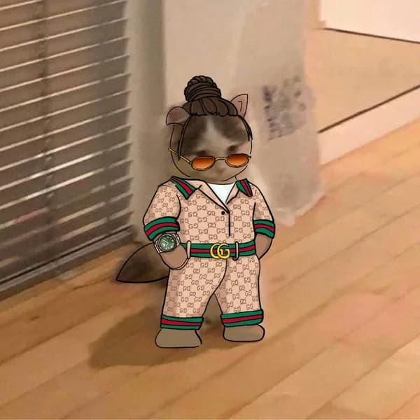 gucci sunglasses drip watch