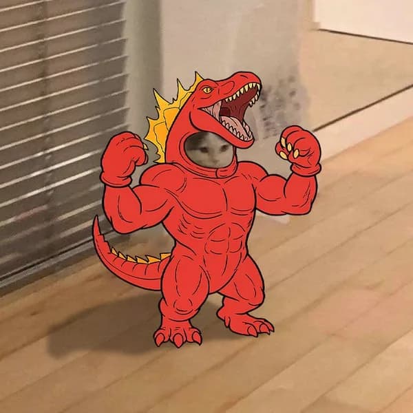 raptor