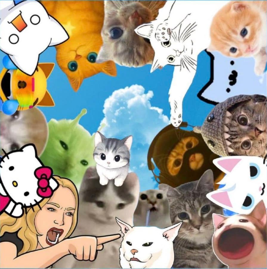 cats mask nub mini nyan kitty shark long drool