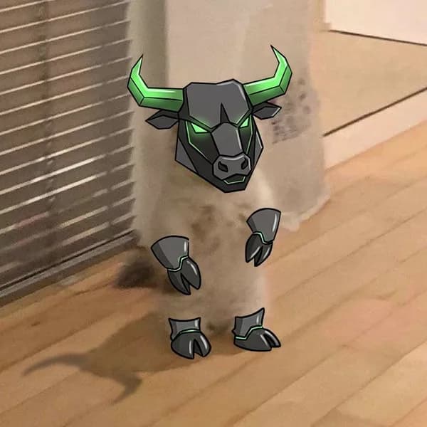 ansem blackbull