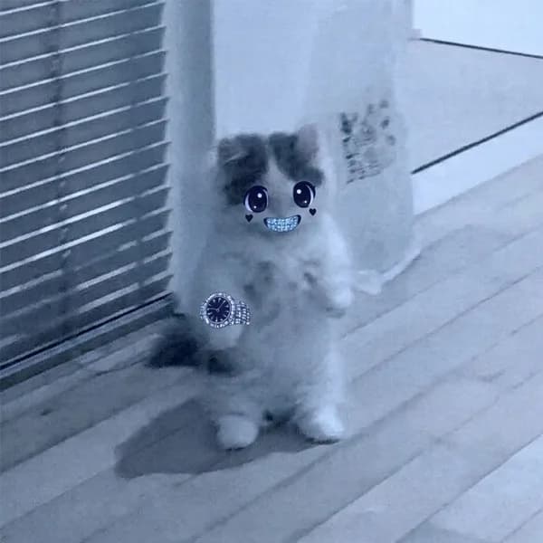 artschool kol watch cute