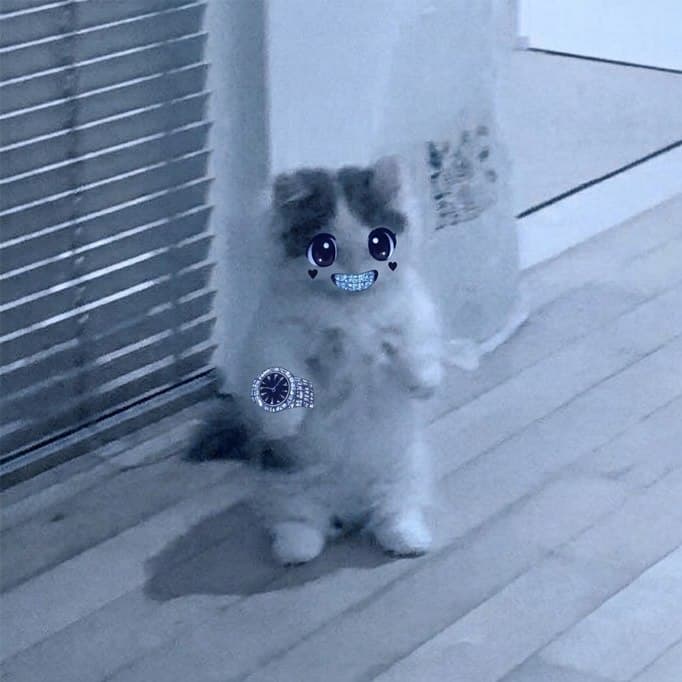 artschool kol watch cute