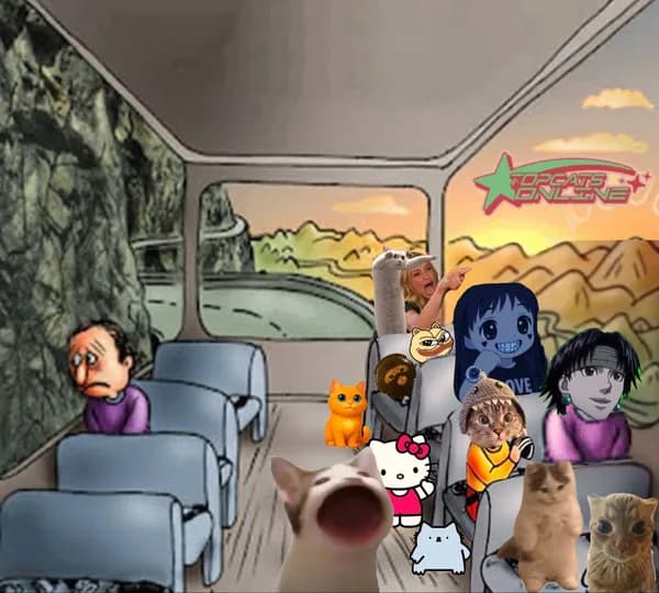 cats