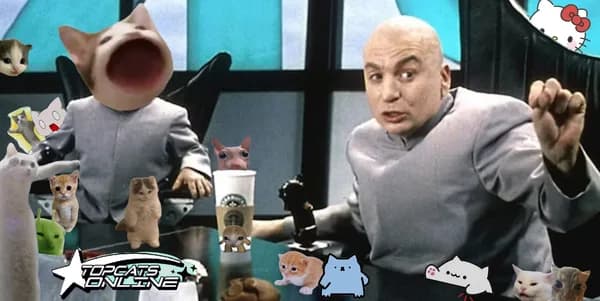 cats