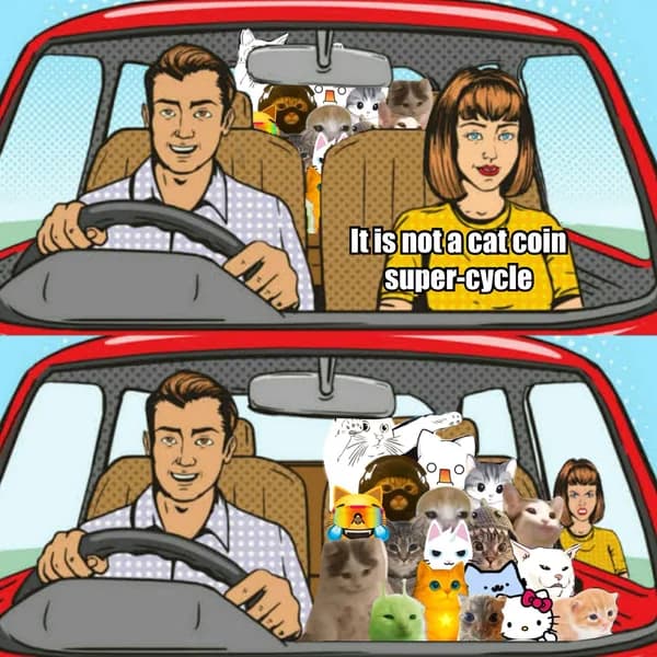 cats