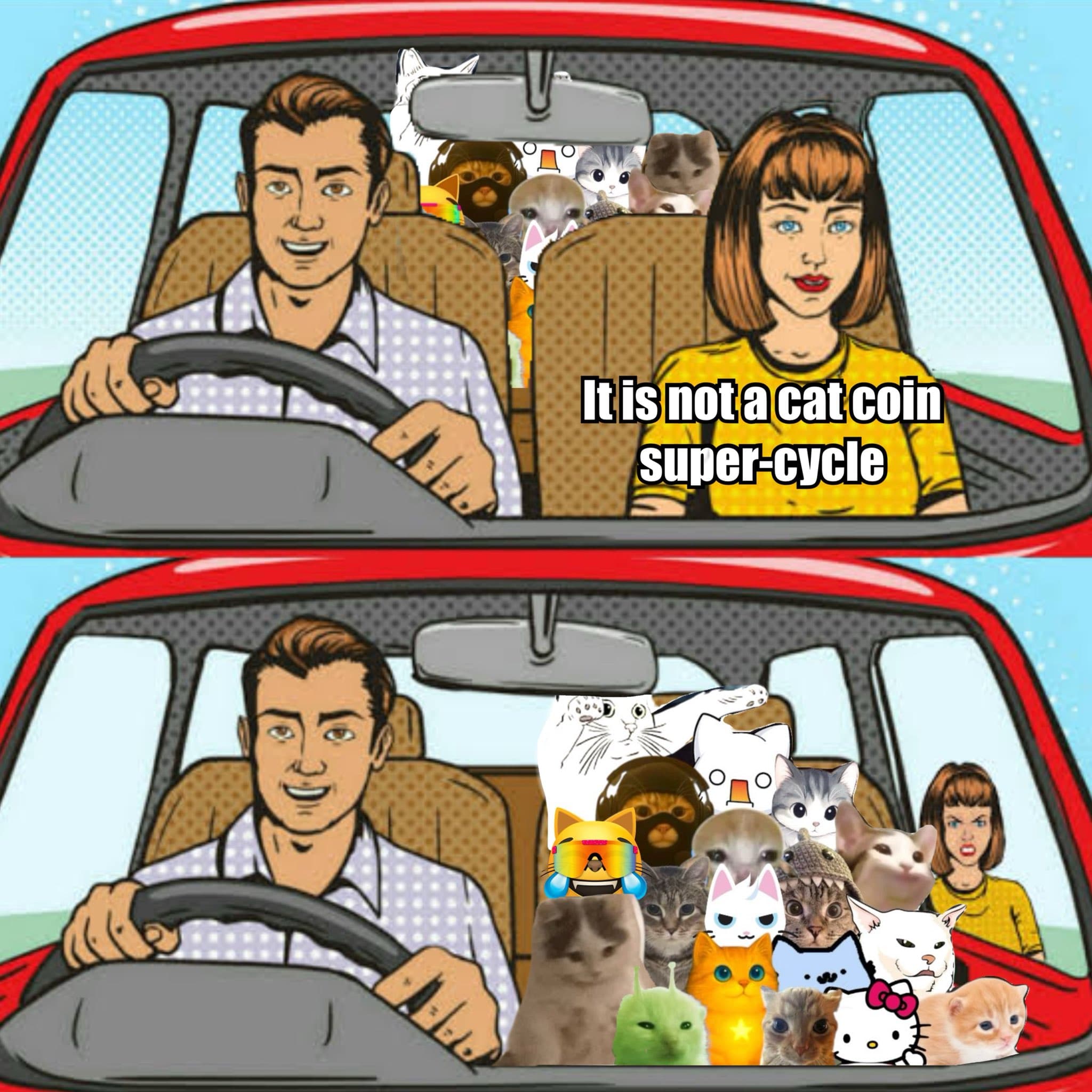 cats
