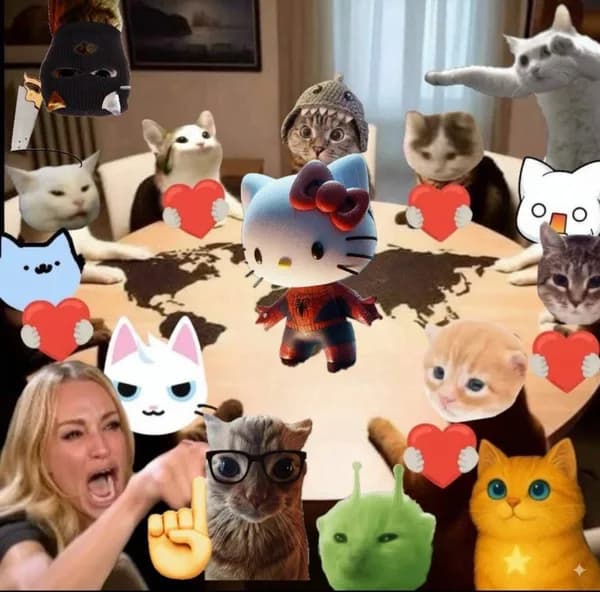 cats
