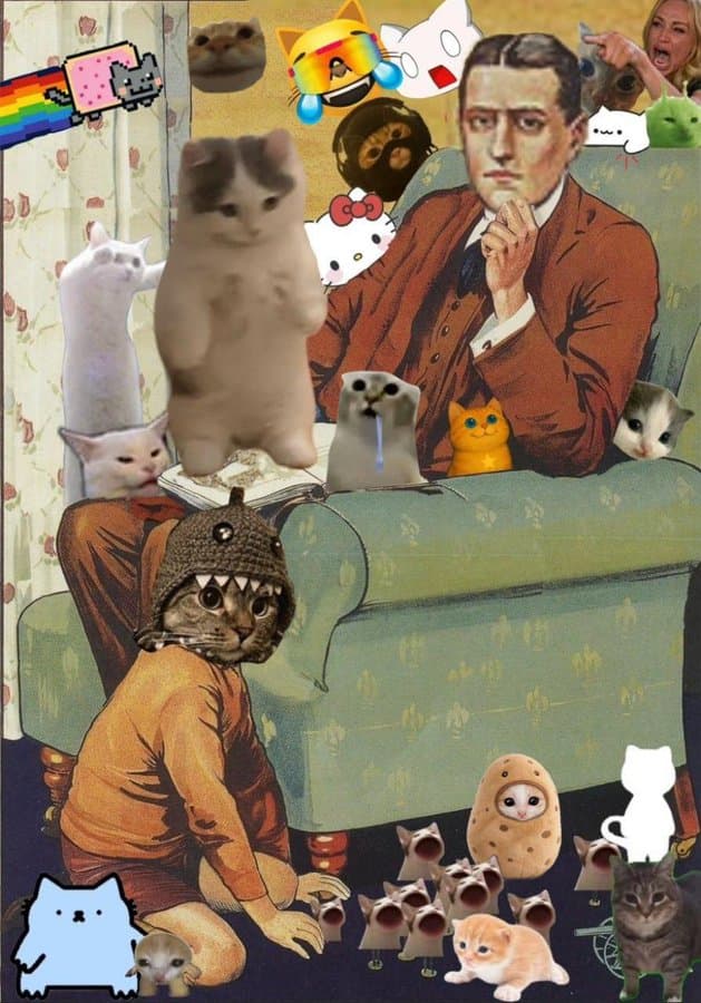 cats