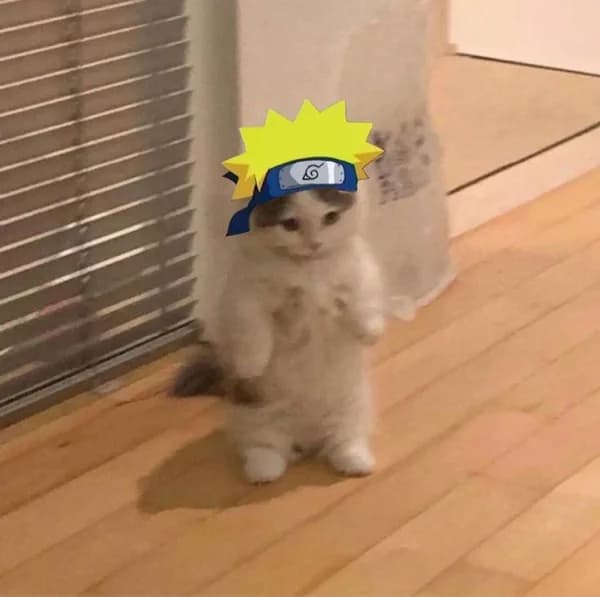 naruto anime