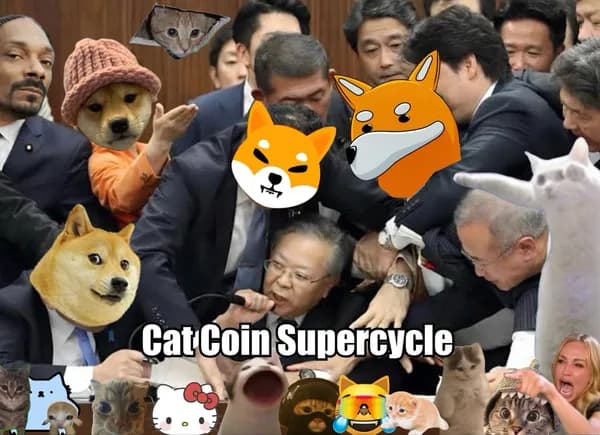 cats would