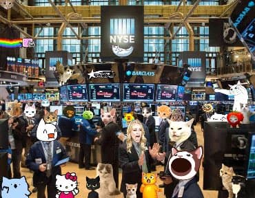 cats