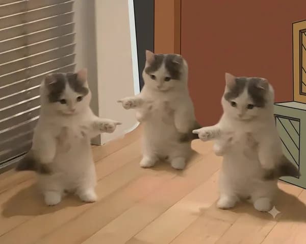 point group gang