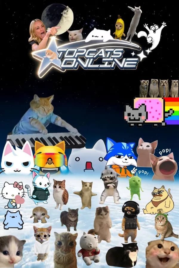 cats