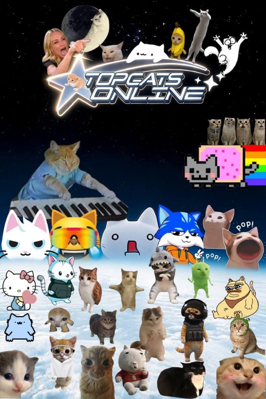 cats