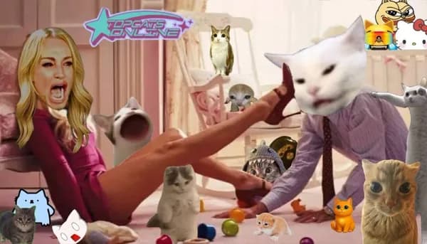 cats