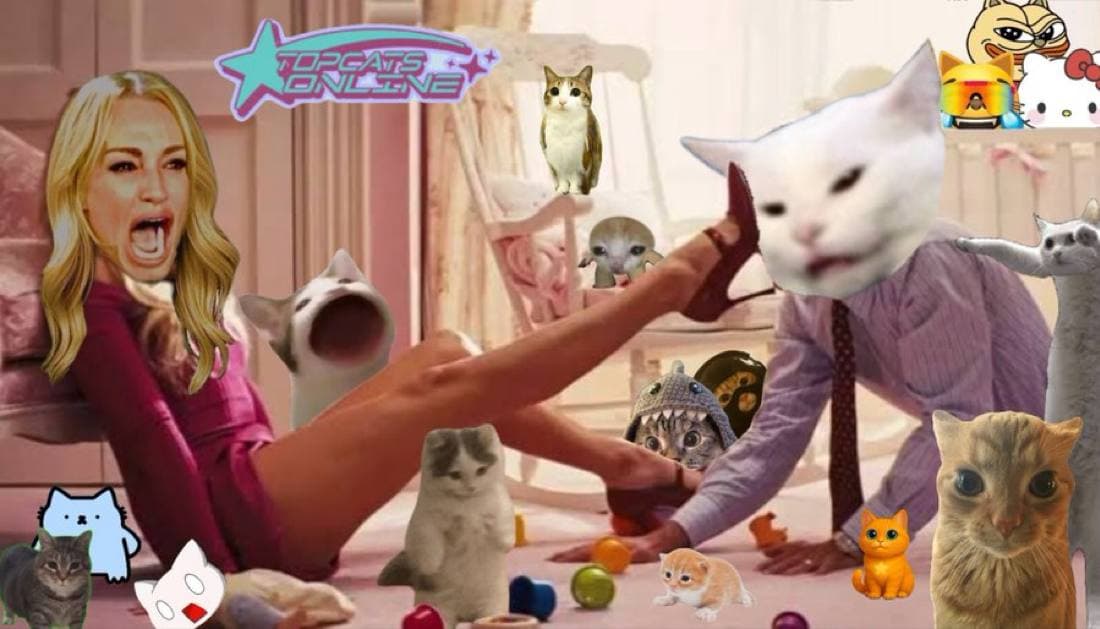 cats