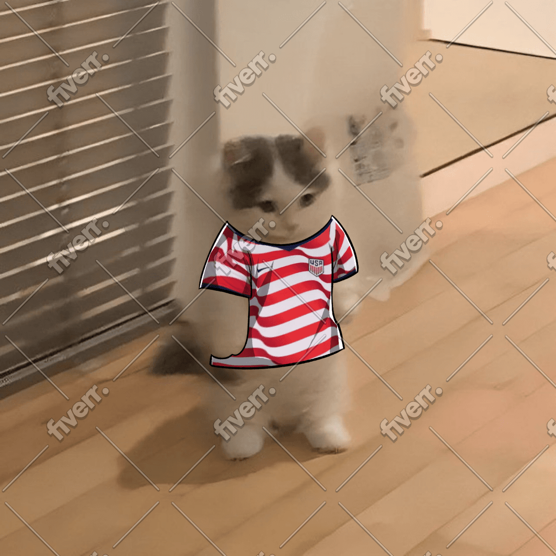 usa worldcup jersey