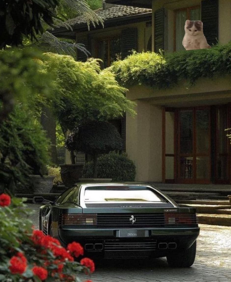 aesthetic car mustang