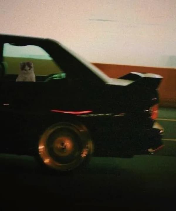 aesthetic car