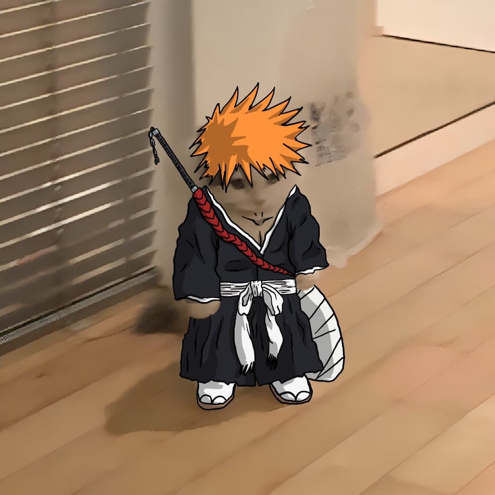 anime bleach ichigo kurosaki