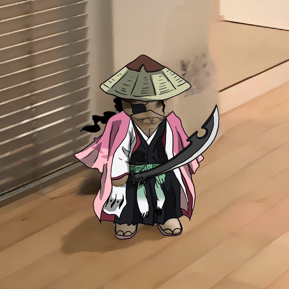 anime bleach shunsui kyoraku