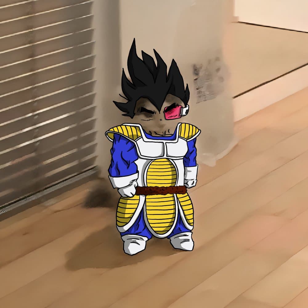 anime dragonball z dbz vegeta