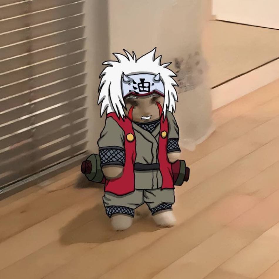 anime naruto jiraiya