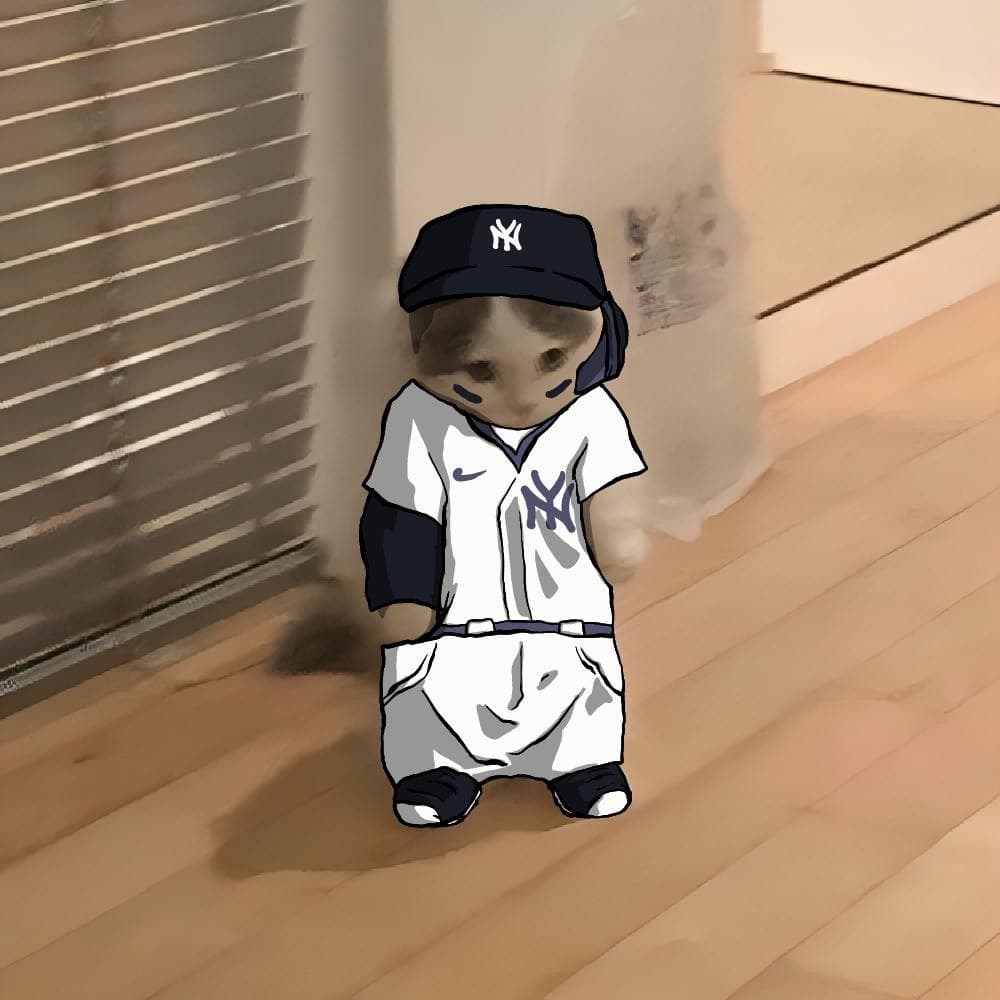 baseball mlb newyork yankees