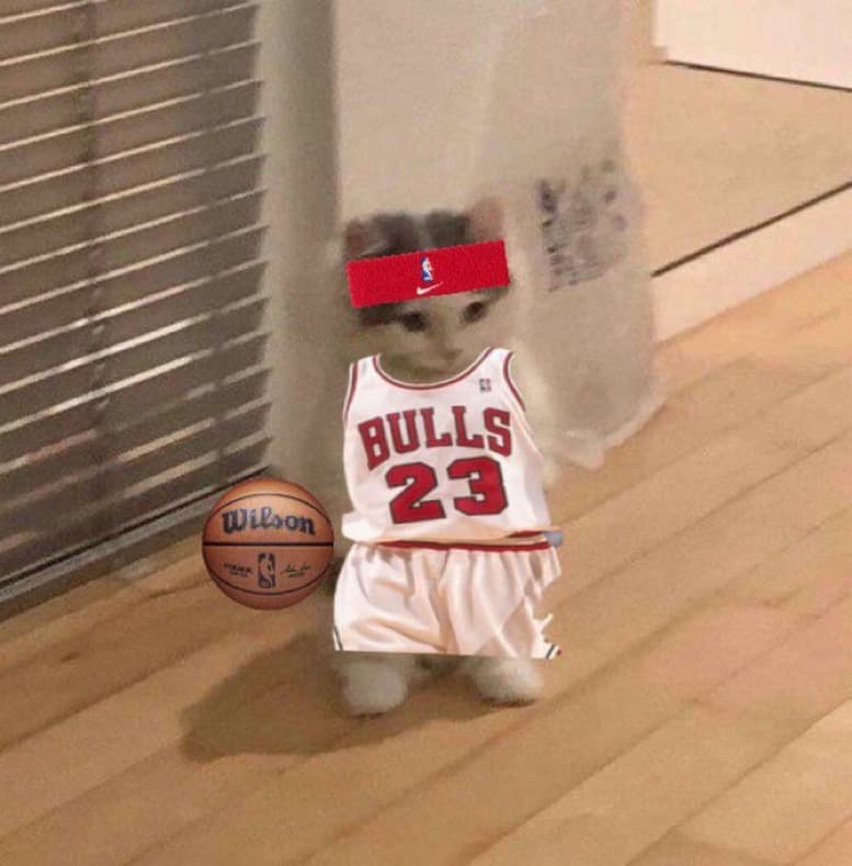 nba basketball michael jordans chicago bulls