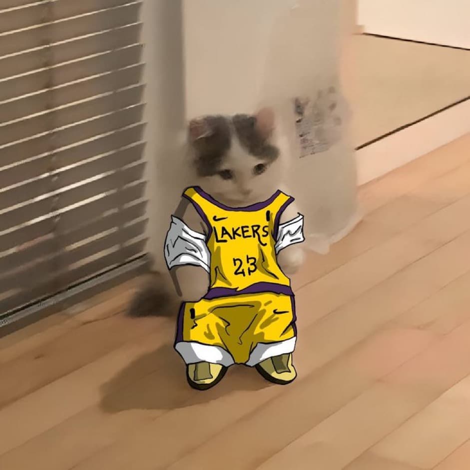 basketball nba la lakers lebron james