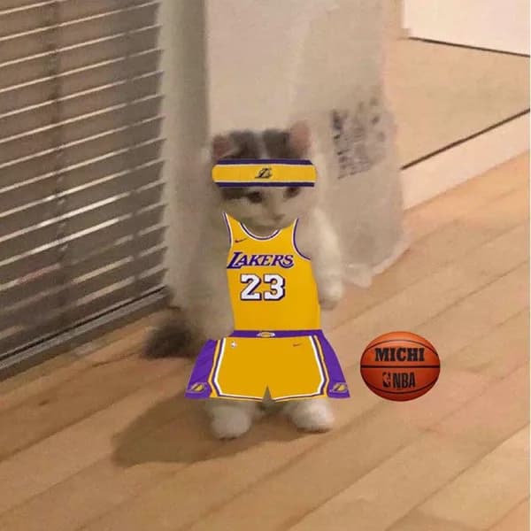 nba la lakers basketball lebron james