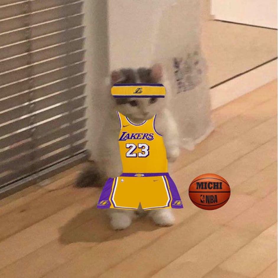 nba la lakers basketball lebron james