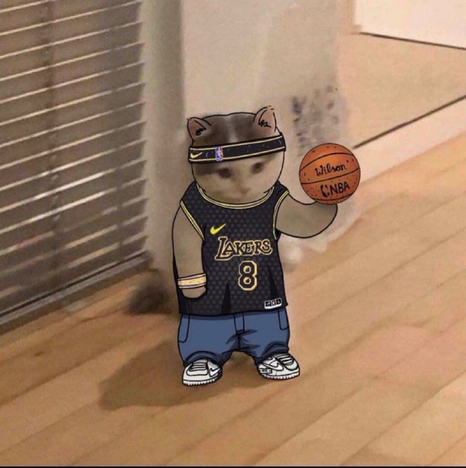 nba basketball la lakers kobe bryant