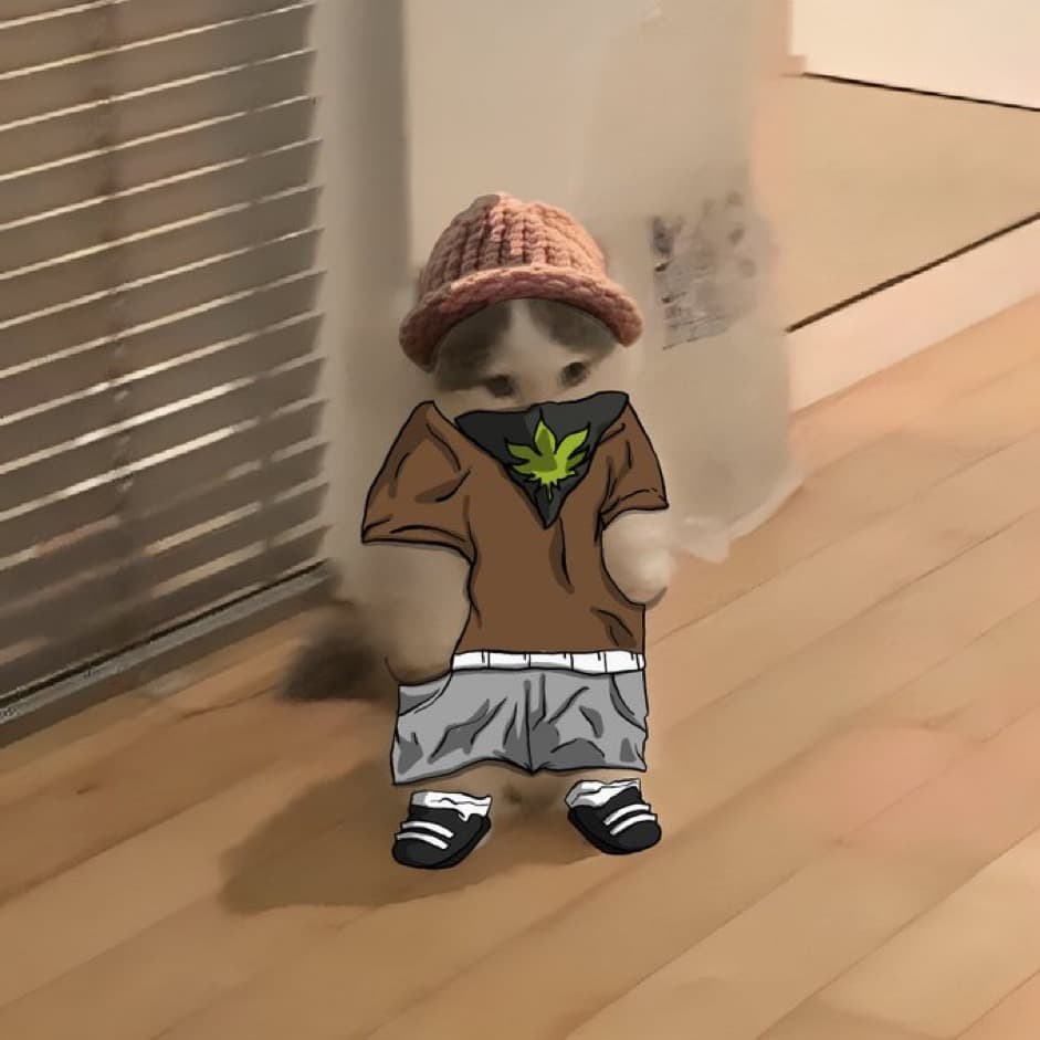 bluntz kol influencer hat bandana