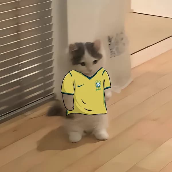 Seleção Michi
