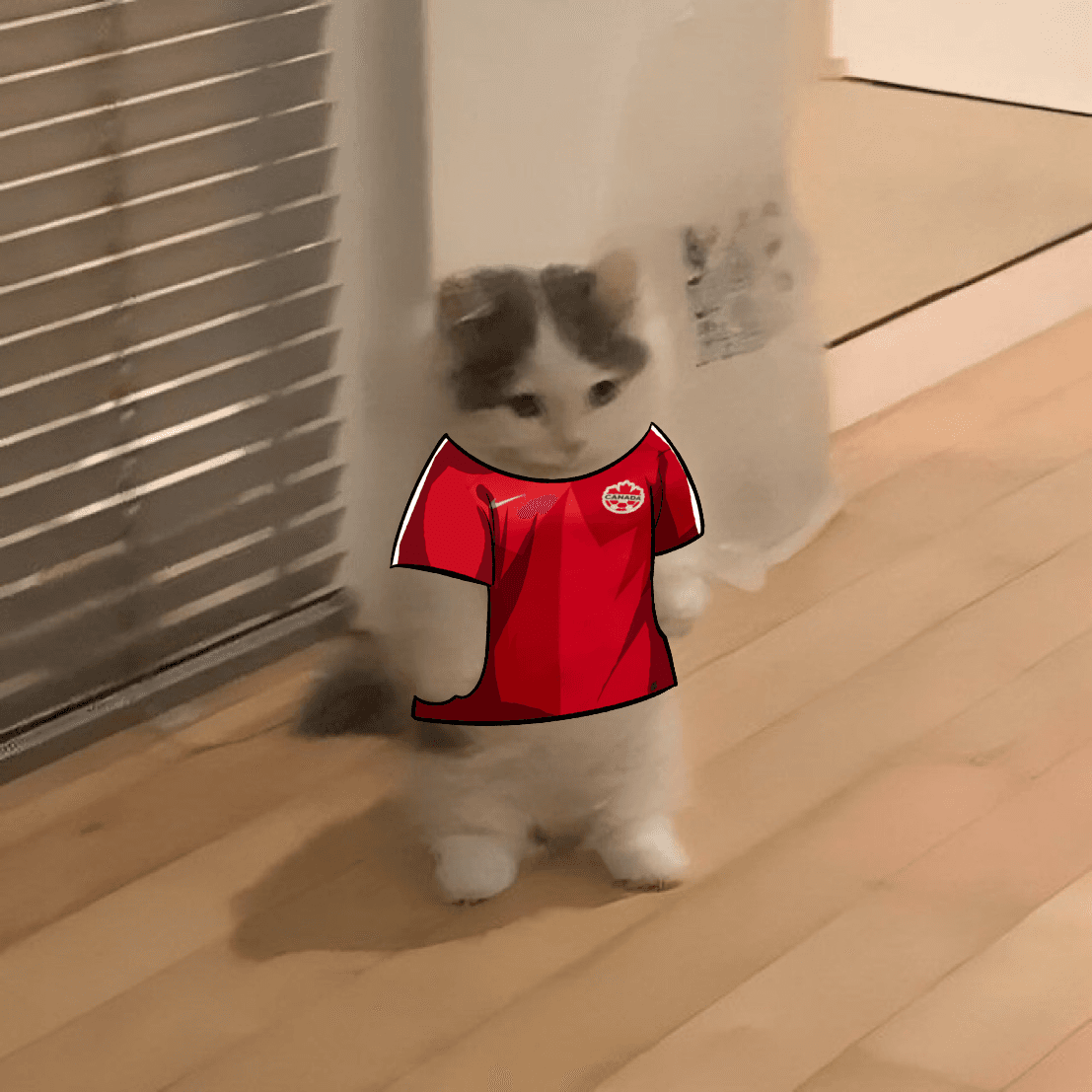 Les Rouges Michi