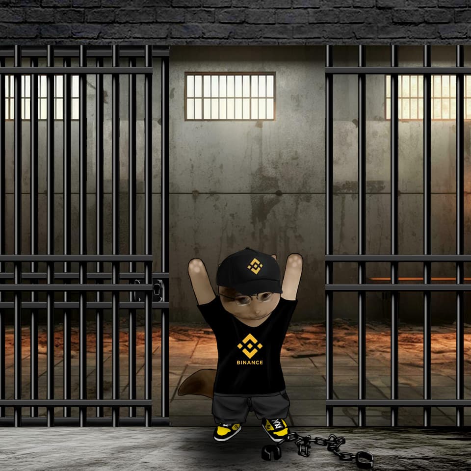 cz jail release binance