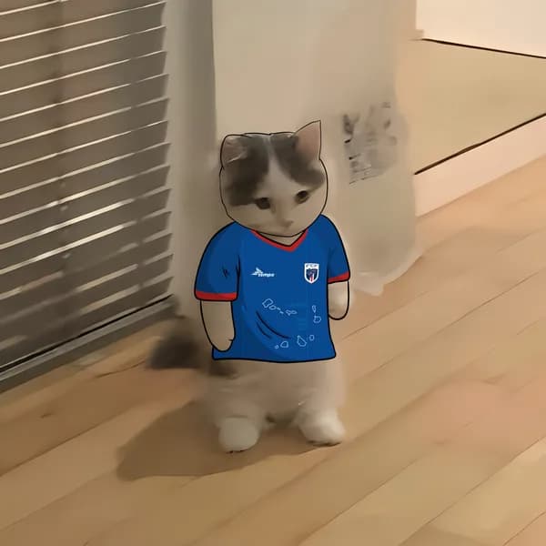 Tubarões Azuis Michi