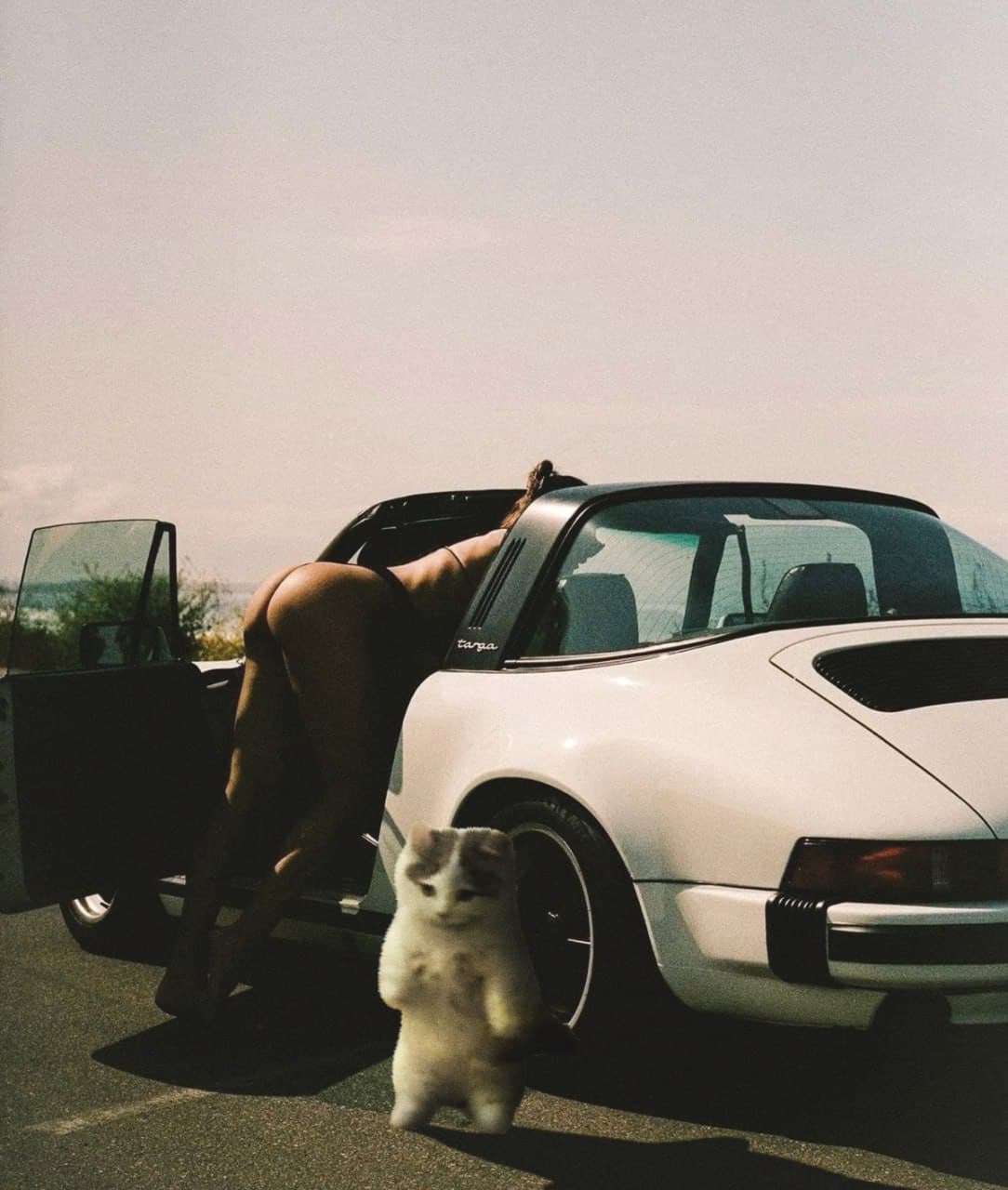 aesthetic car porsche nsfw girl gyatt