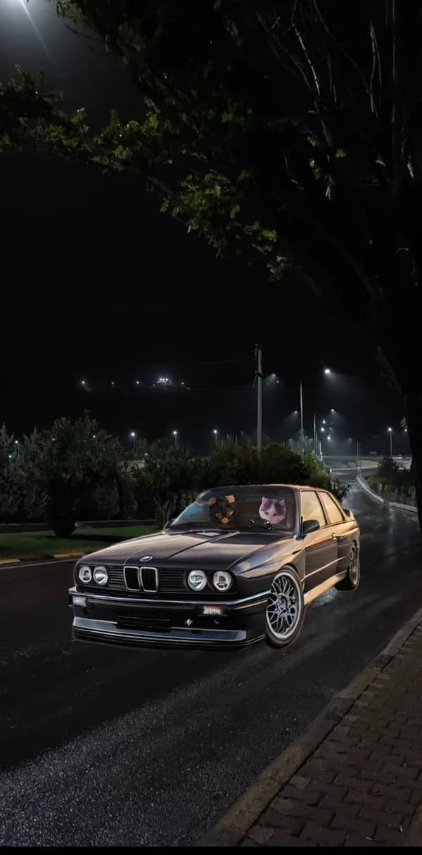 car bmw