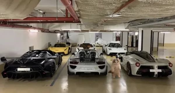 car garage