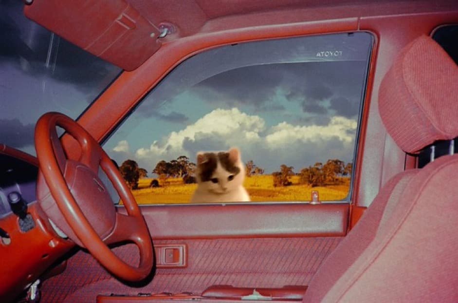 car insideview inside