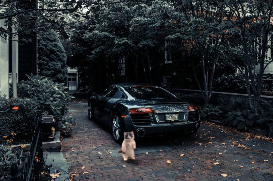 car nature audi r8 supercar