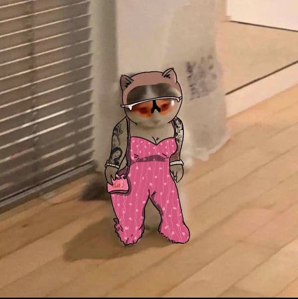 celeb amber rose