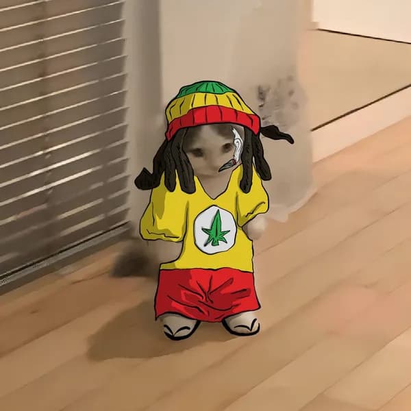 celeb bob marley