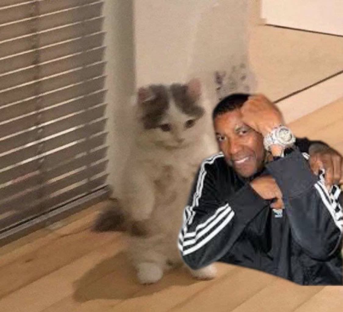 celeb denzel washington