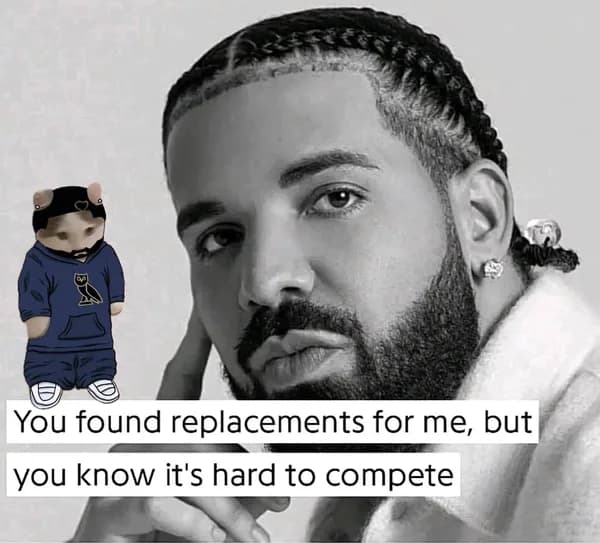 celeb drake