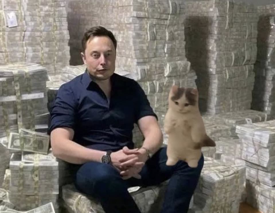 elon musk money rich