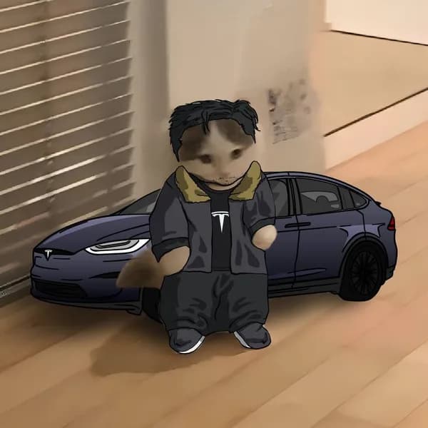 elon musk tesla model s